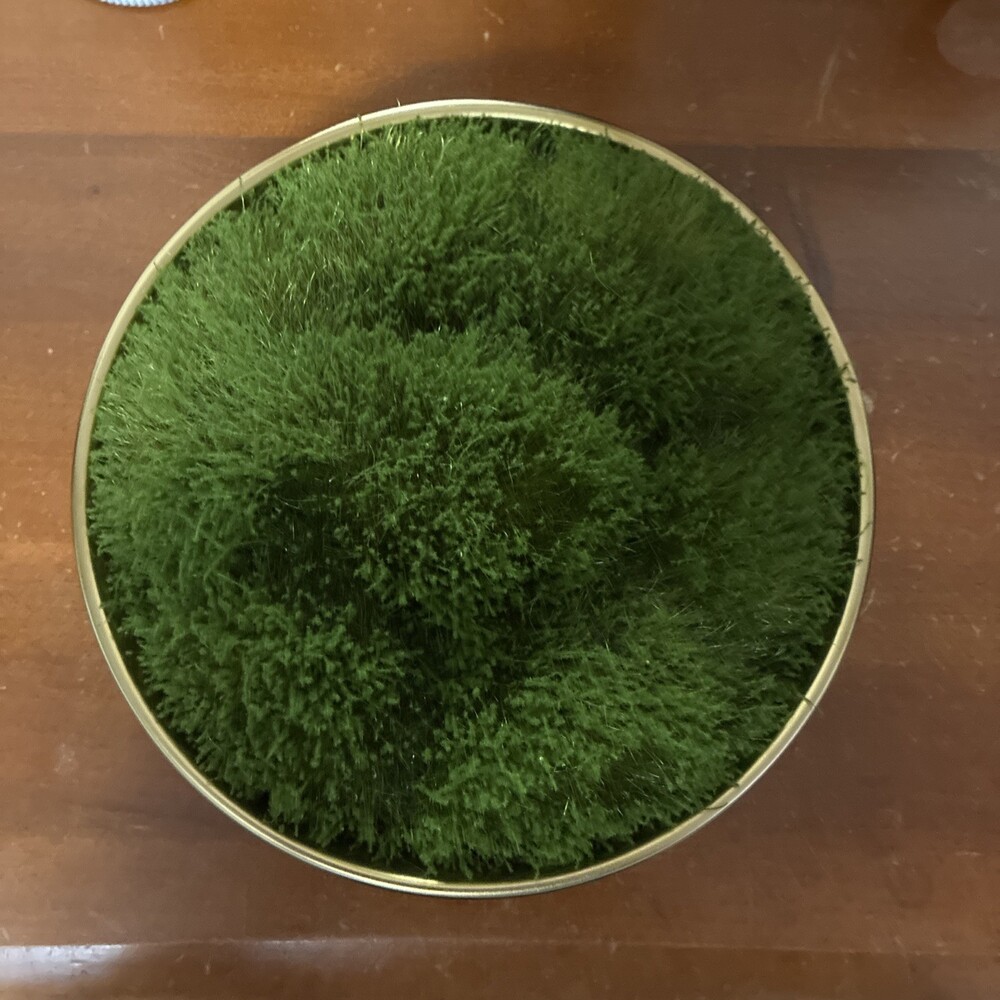 Faux Floral Decor Moss in Gold Ceramic Bowl Indoor Tabletop New
